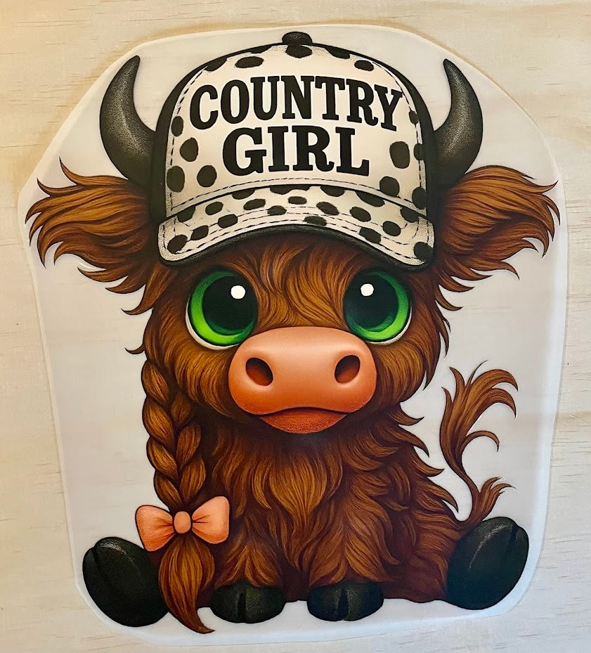 DTF (Direct To Film) Transfer