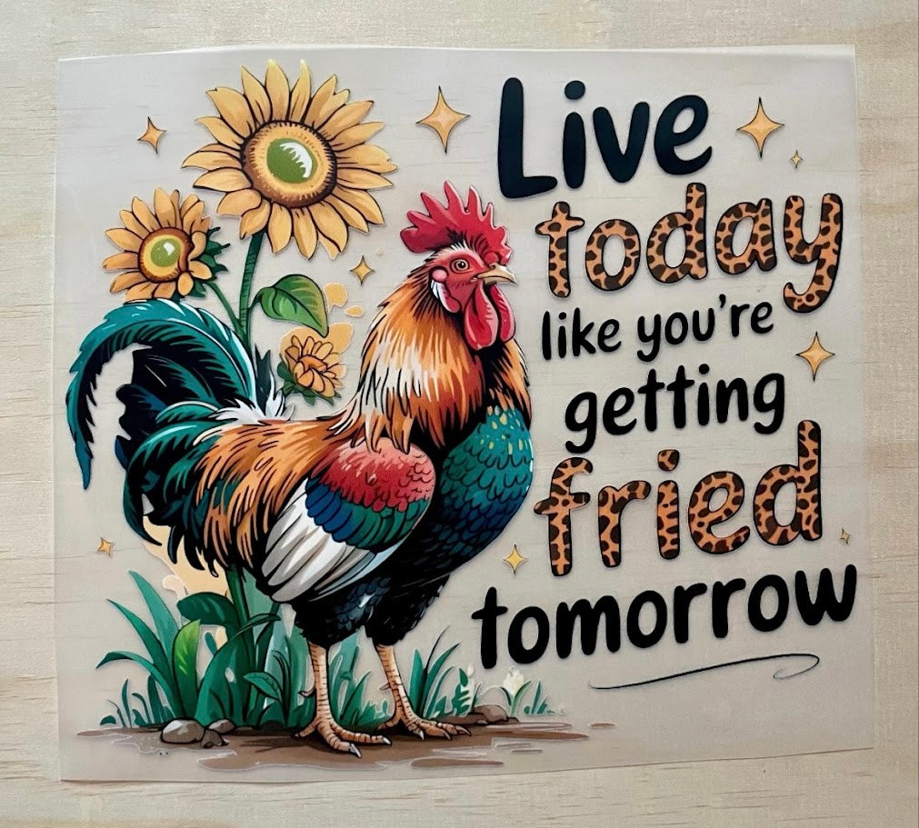 Chicken Humor | DTF Transfer